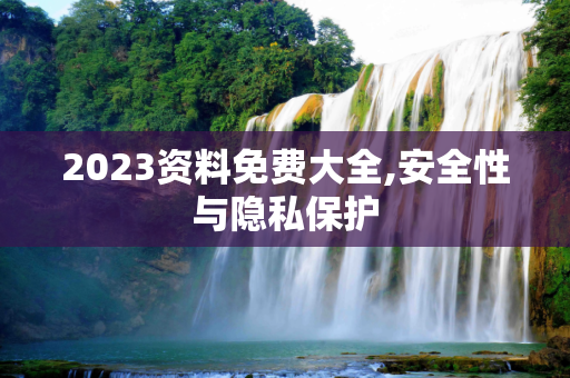 2023资料免费大全,安全性与隐私保护