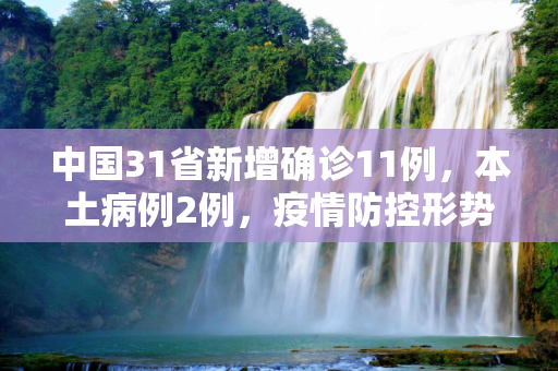 中国31省新增确诊11例，本土病例2例，疫情防控形势依然严峻,31省新增确诊11例其中本土2例