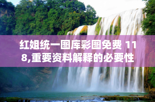 红姐统一图库彩图免费 118,重要资料解释的必要性