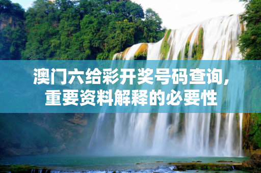 澳门六给彩开奖号码查询,重要资料解释的必要性