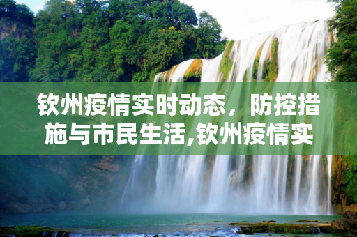 钦州疫情实时动态，防控措施与市民生活,钦州疫情实时动态