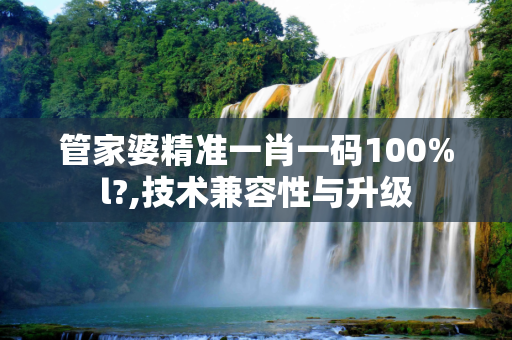 管家婆精准一肖一码100%l?,技术兼容性与升级