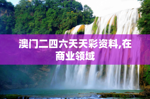 澳门二四六天天彩资料,在商业领域
