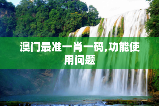 澳门最准一肖一码,功能使用问题