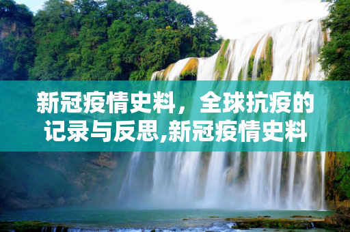 新冠疫情史料，全球抗疫的记录与反思,新冠疫情史料