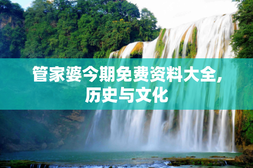管家婆今期免费资料大全,历史与文化