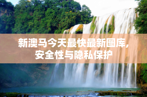 新澳马今天最快最新图库,安全性与隐私保护