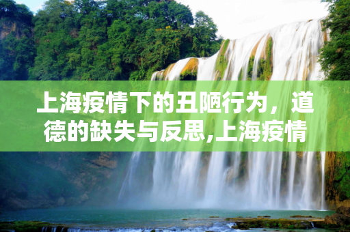 上海疫情下的丑陋行为，道德的缺失与反思,上海疫情下的丑陋行为
