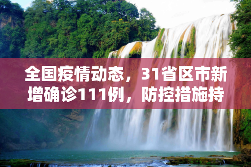 全国疫情动态，31省区市新增确诊111例，防控措施持续加强,31省区市新增确诊111例