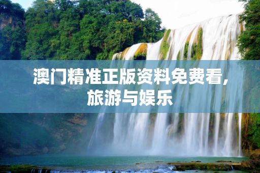 澳门精准正版资料免费看,旅游与娱乐