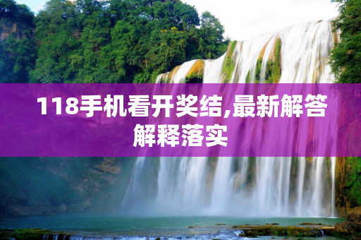 118手机看开奖结,最新解答解释落实