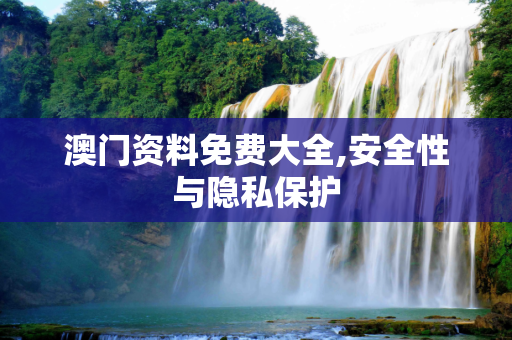 澳门资料免费大全,安全性与隐私保护