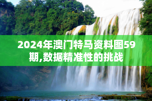 2024年澳门特马资料图59期,数据精准性的挑战