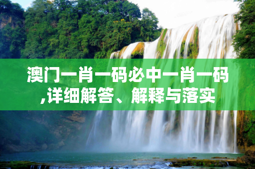 澳门一肖一码必中一肖一码,详细解答、解释与落实