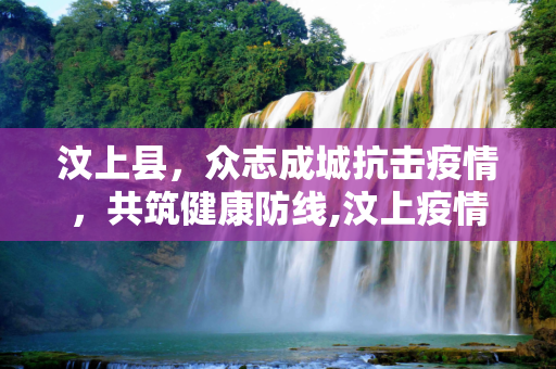 汶上县，众志成城抗击疫情，共筑健康防线,汶上疫情