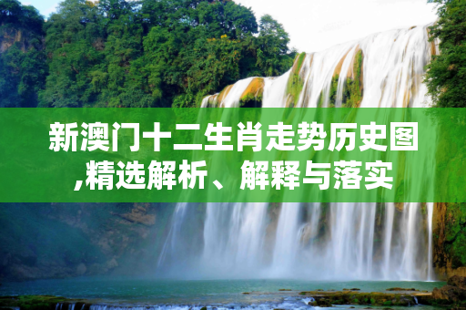 新澳门十二生肖走势历史图,精选解析、解释与落实
