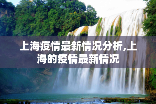 上海疫情最新情况分析,上海的疫情最新情况