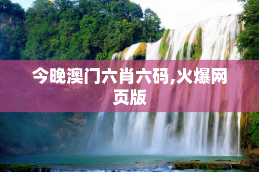 今晚澳门六肖六码,火爆网页版