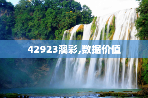 42923澳彩,数据价值