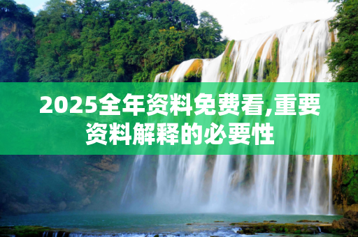 2025全年资料免费看,重要资料解释的必要性