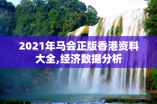 2021年马会正版香港资料大全,经济数据分析