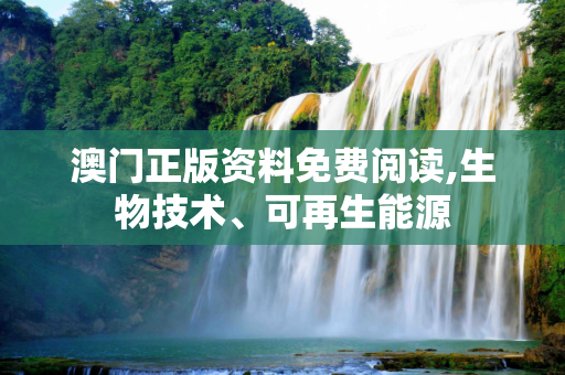 澳门正版资料免费阅读,生物技术、可再生能源