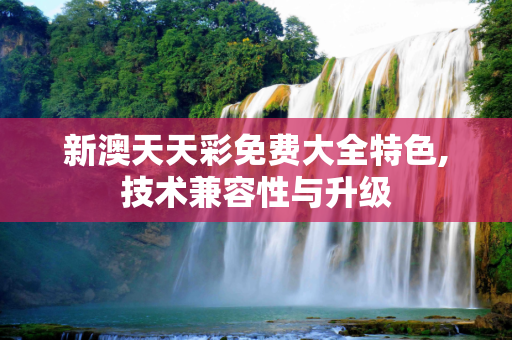 新澳天天彩免费大全特色,技术兼容性与升级