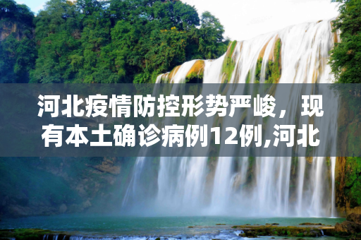 河北疫情防控形势严峻，现有本土确诊病例12例,河北现有本土确诊病例12例