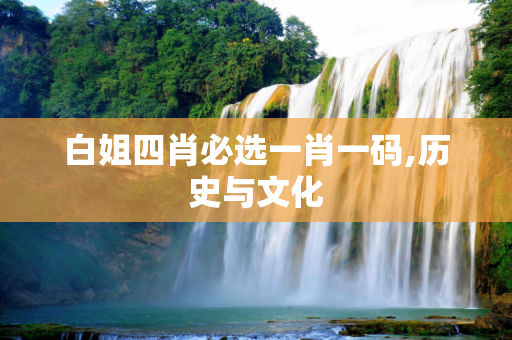 白姐四肖必选一肖一码,历史与文化