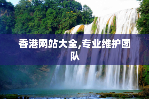 香港网站大全,专业维护团队