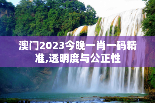 澳门2023今晚一肖一码精准,透明度与公正性