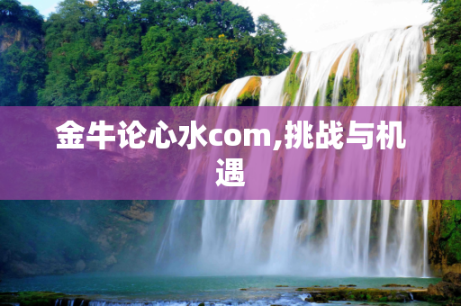 金牛论心水com,挑战与机遇