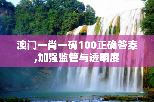 澳门一肖一码100正确答案,加强监管与透明度