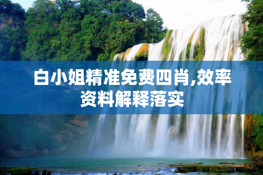 白小姐精准免费四肖,效率资料解释落实