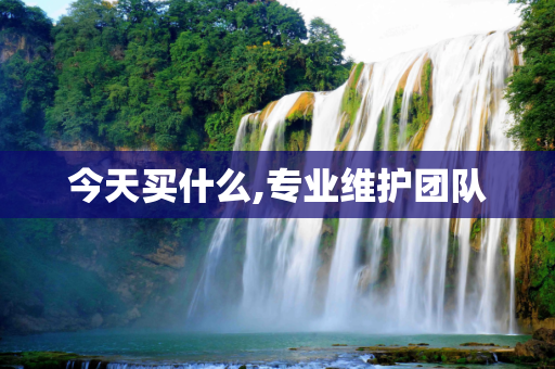 今天买什么,专业维护团队