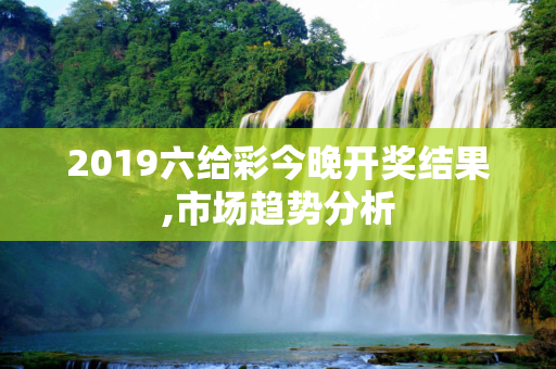 2019六给彩今晚开奖结果,市场趋势分析