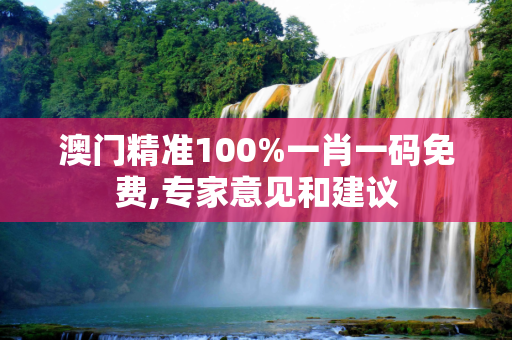 澳门精准100%一肖一码免费,专家意见和建议