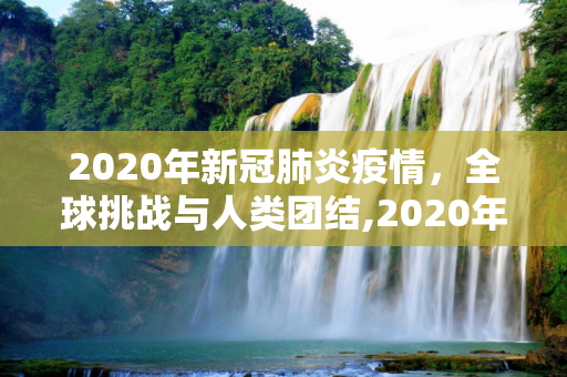 2020年新冠肺炎疫情，全球挑战与人类团结,2020年新冠肺炎疫情