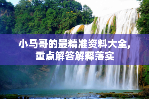 小马哥的最精准资料大全,重点解答解释落实