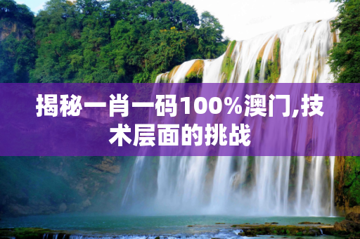 揭秘一肖一码100%澳门,技术层面的挑战