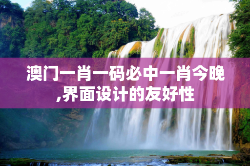 澳门一肖一码必中一肖今晚,界面设计的友好性