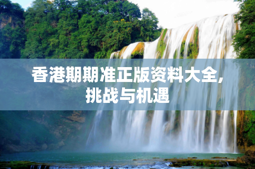 香港期期准正版资料大全,挑战与机遇