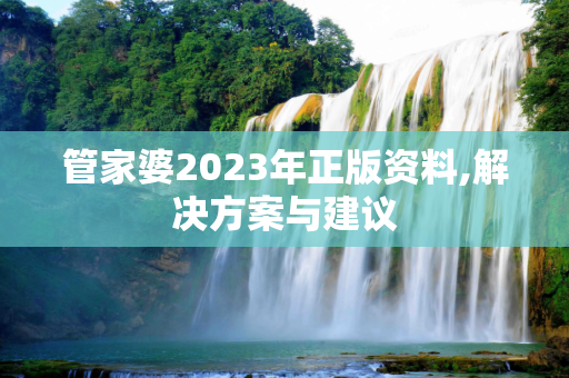 管家婆2023年正版资料,解决方案与建议