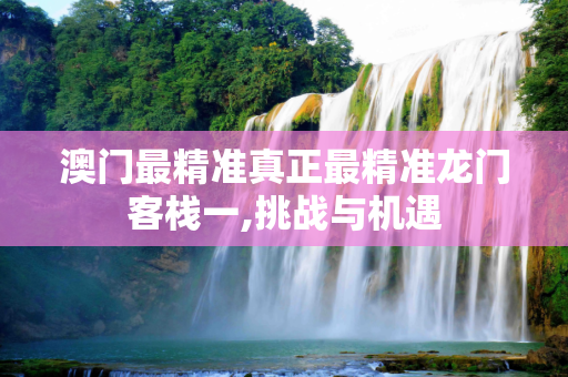澳门最精准真正最精准龙门客栈一,挑战与机遇