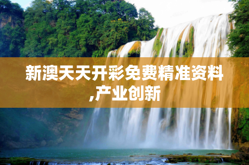 新澳天天开彩免费精准资料,产业创新