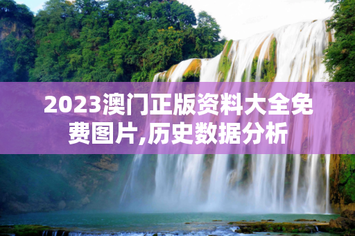 2023澳门正版资料大全免费图片,历史数据分析