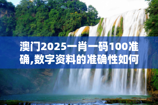 澳门2025一肖一码100准确,数字资料的准确性如何保证？