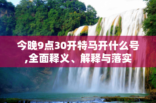 今晚9点30开特马开什么号,全面释义、解释与落实