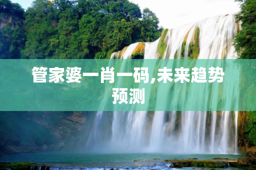 管家婆一肖一码,未来趋势预测