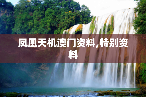凤凰天机澳门资料,特别资料